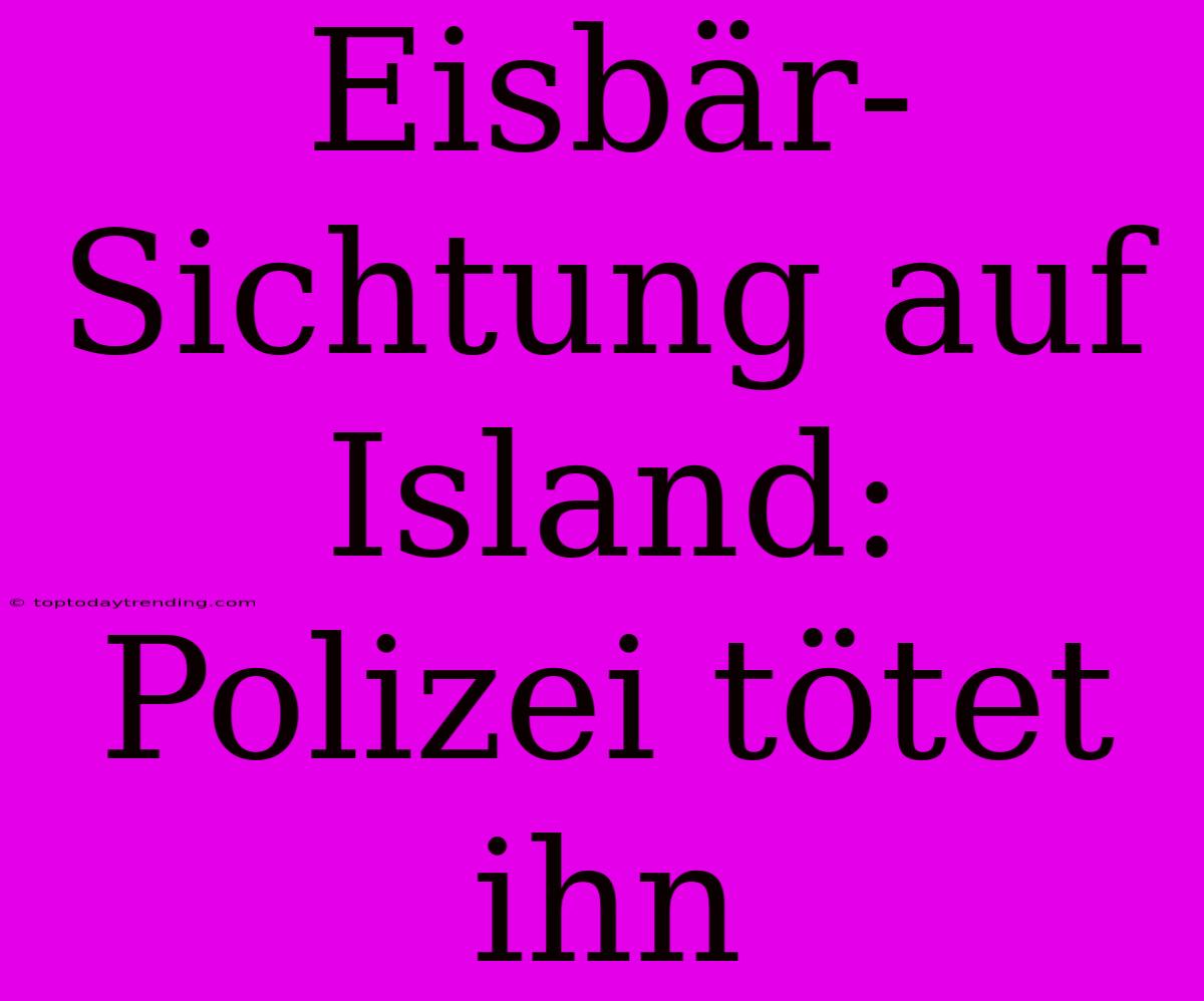 Eisbär-Sichtung Auf Island: Polizei Tötet Ihn