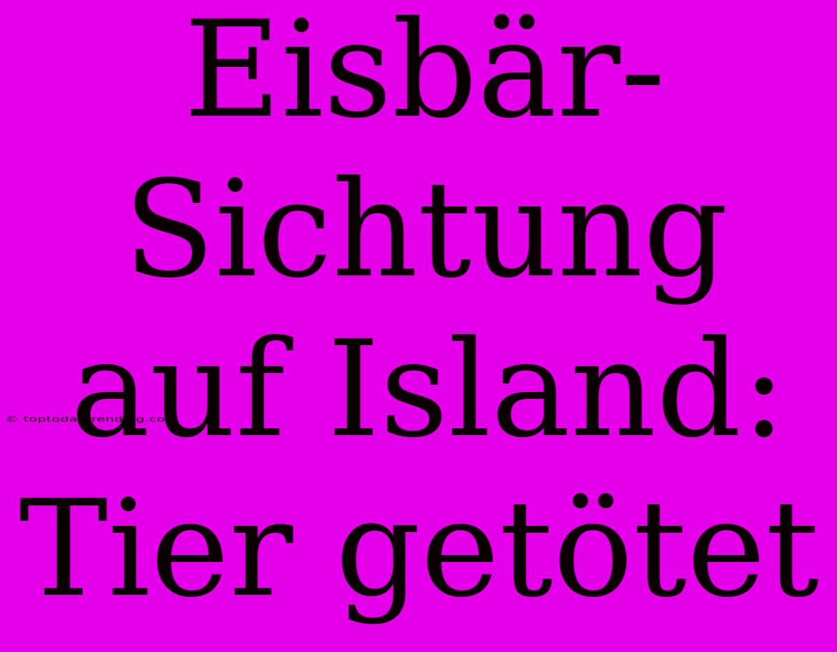 Eisbär-Sichtung Auf Island: Tier Getötet