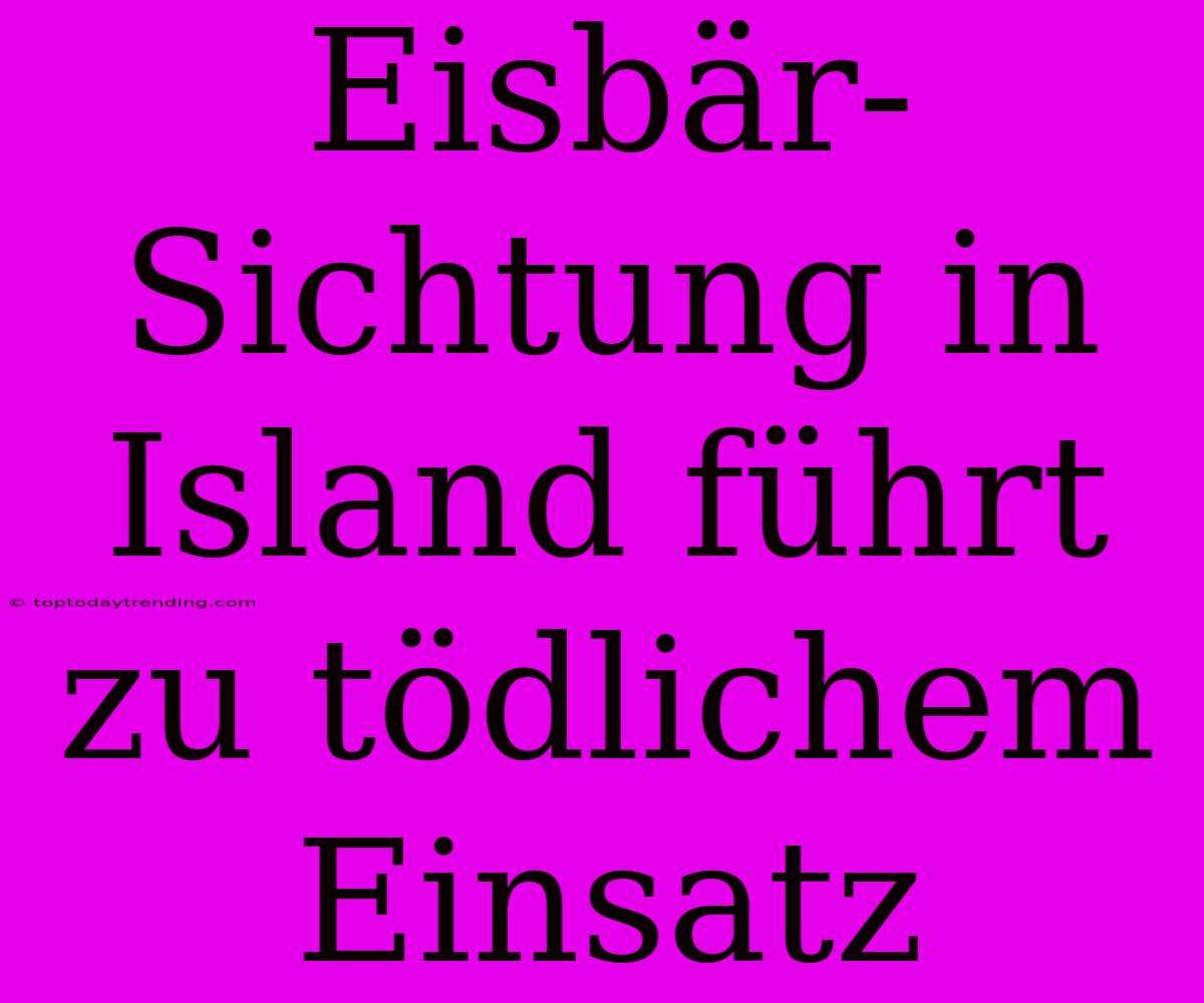 Eisbär-Sichtung In Island Führt Zu Tödlichem Einsatz