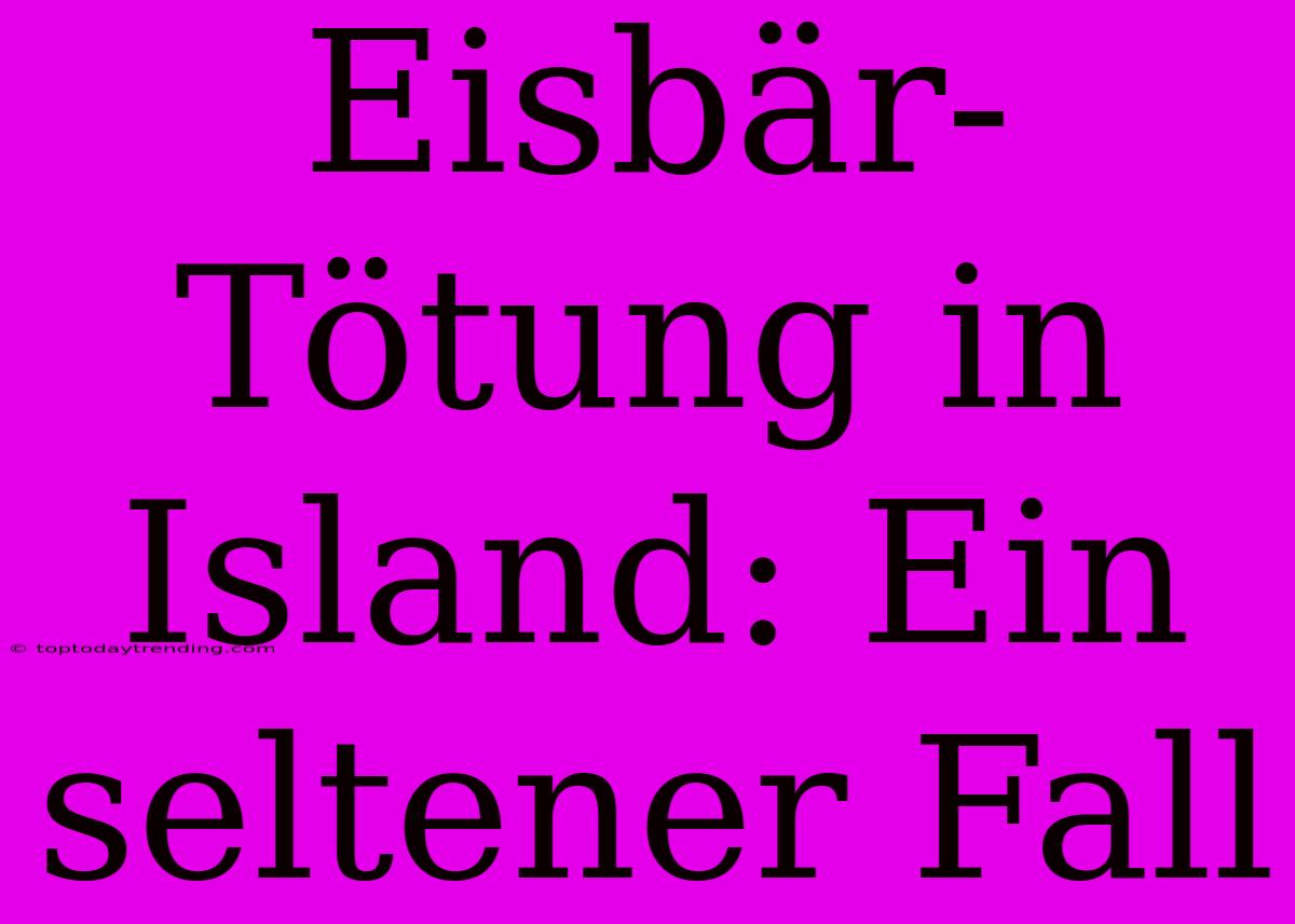 Eisbär-Tötung In Island: Ein Seltener Fall