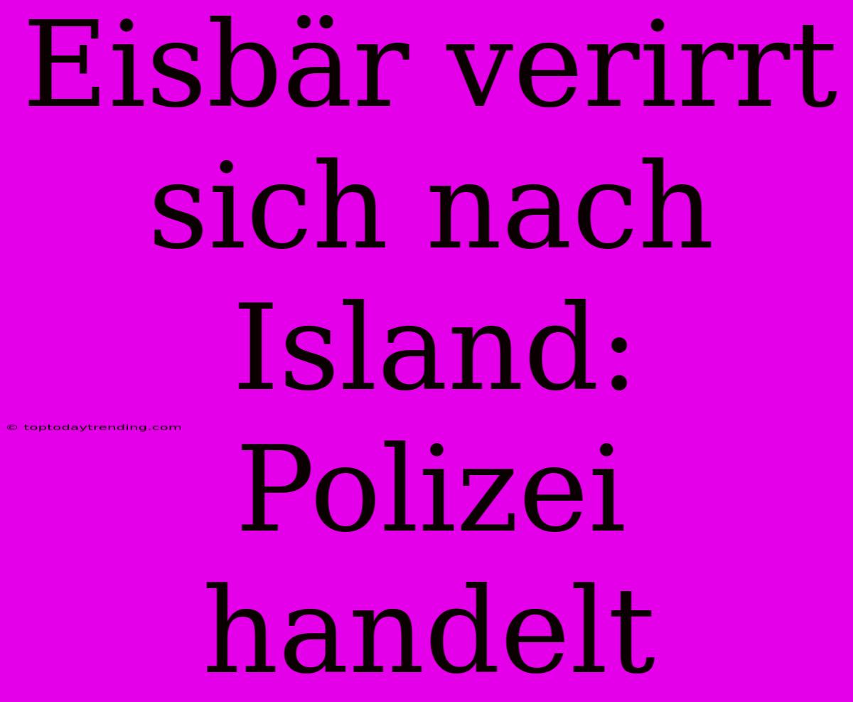 Eisbär Verirrt Sich Nach Island: Polizei Handelt