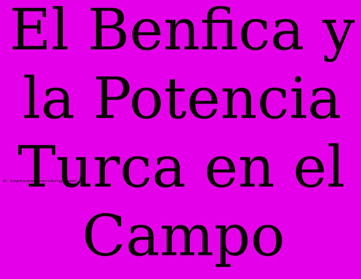 El Benfica Y La Potencia Turca En El Campo