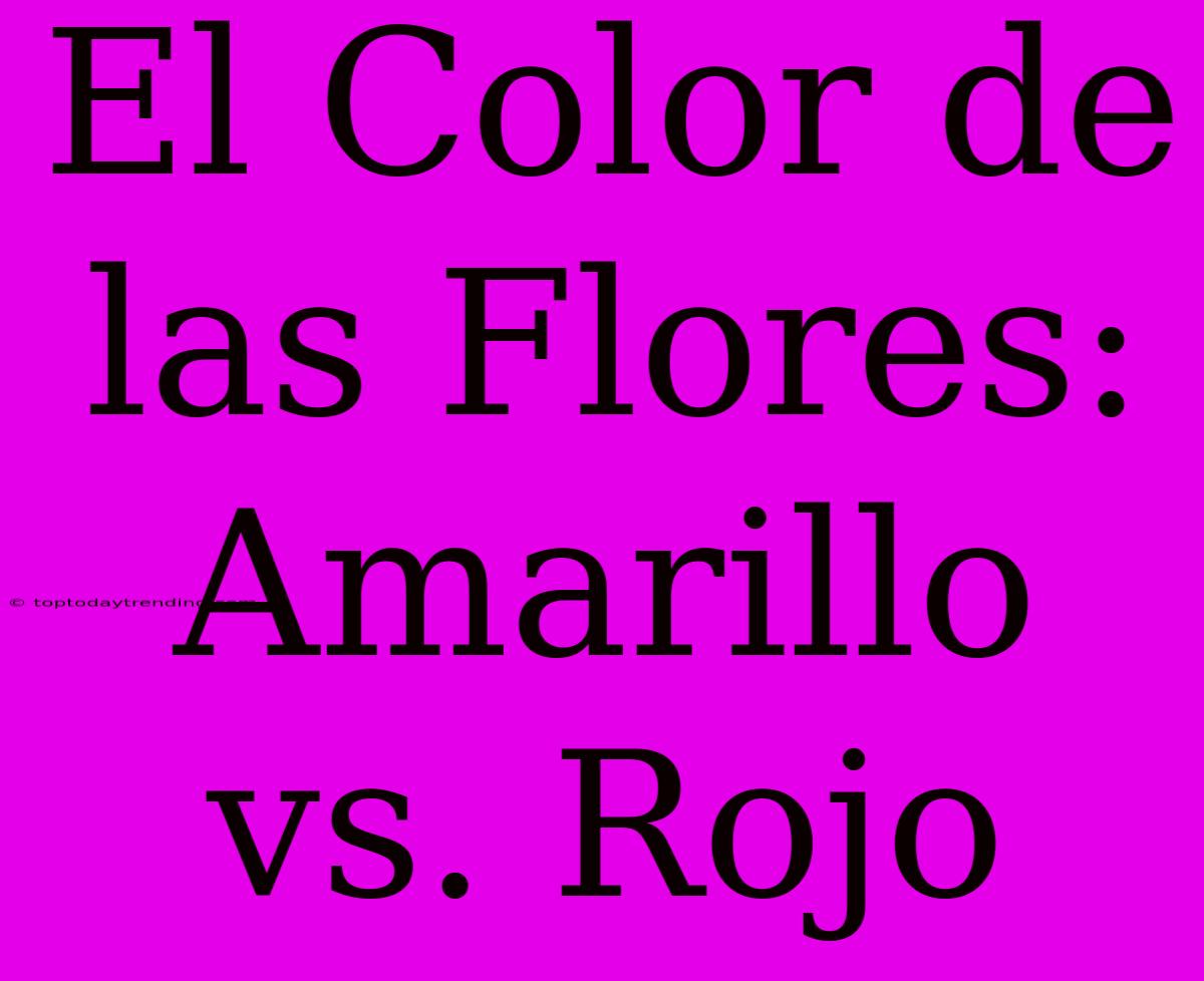 El Color De Las Flores: Amarillo Vs. Rojo