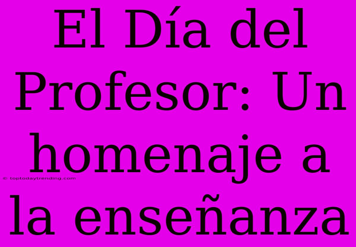 El Día Del Profesor: Un Homenaje A La Enseñanza