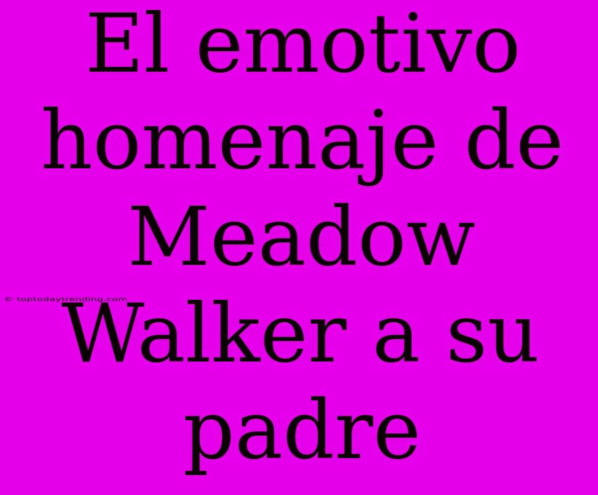 El Emotivo Homenaje De Meadow Walker A Su Padre