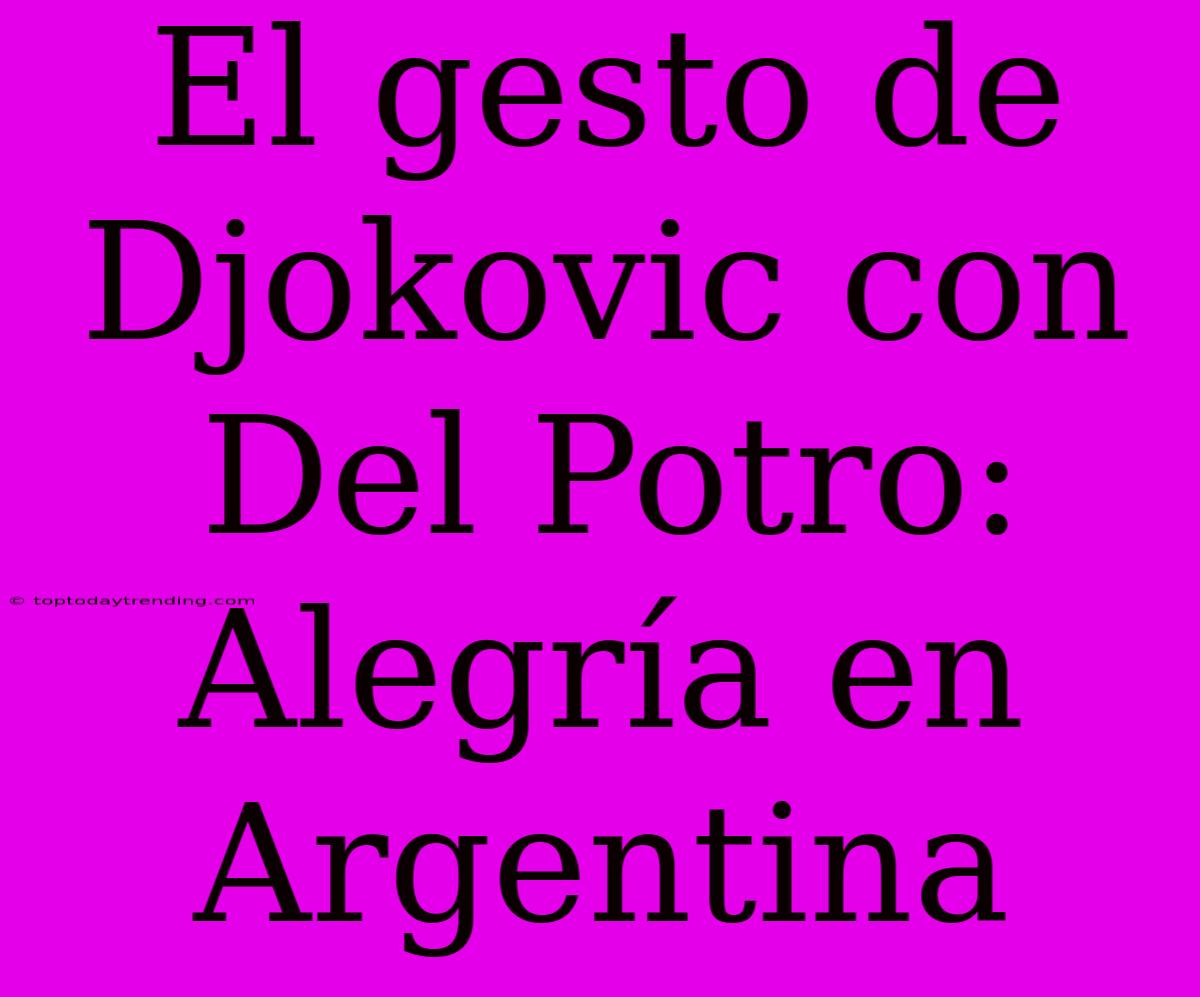 El Gesto De Djokovic Con Del Potro: Alegría En Argentina