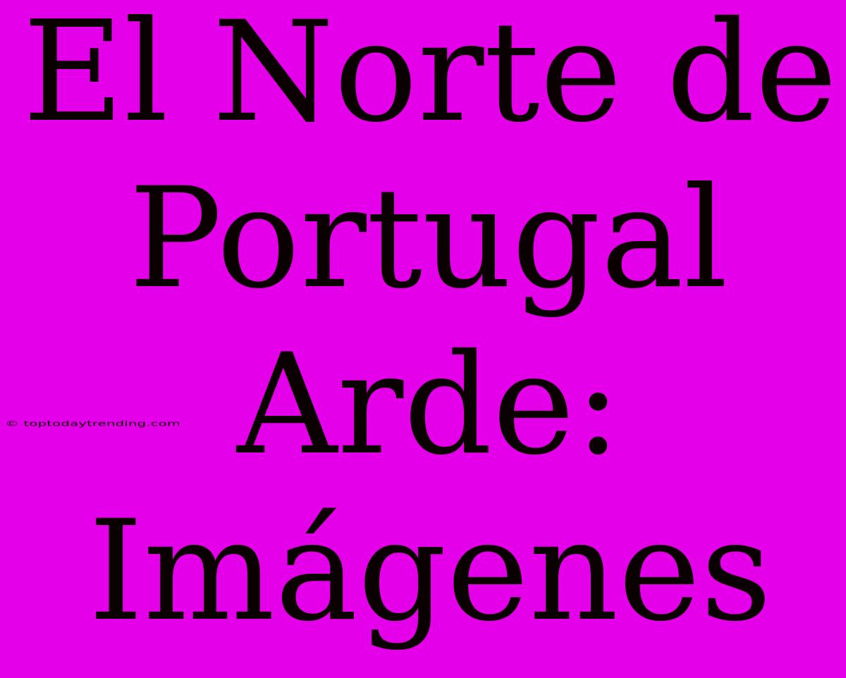 El Norte De Portugal Arde: Imágenes