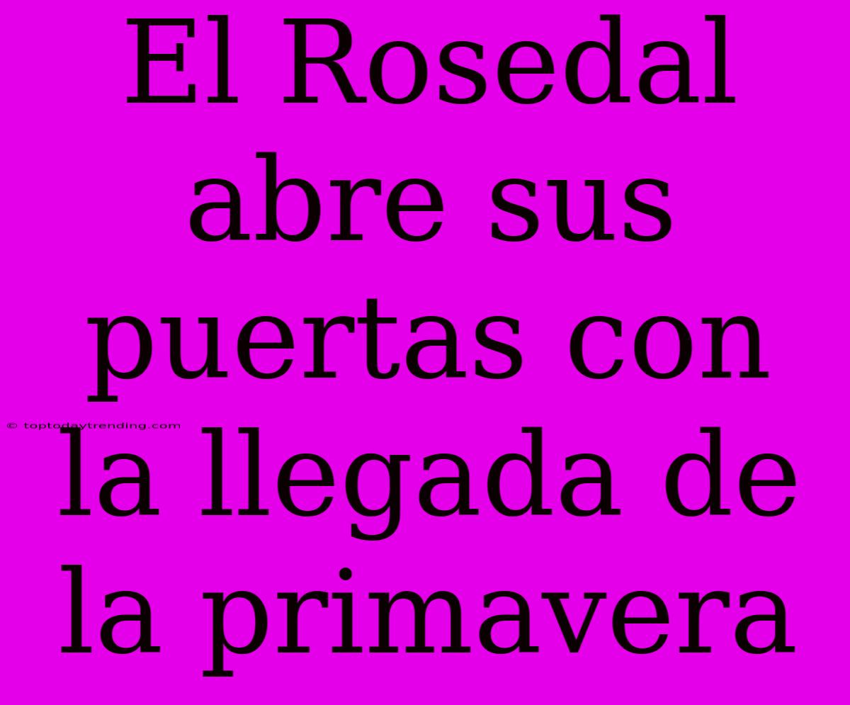 El Rosedal Abre Sus Puertas Con La Llegada De La Primavera