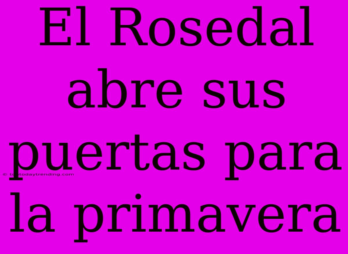 El Rosedal Abre Sus Puertas Para La Primavera