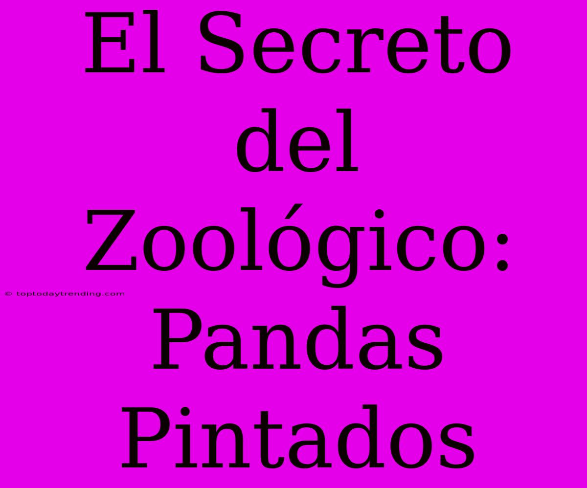 El Secreto Del Zoológico: Pandas Pintados