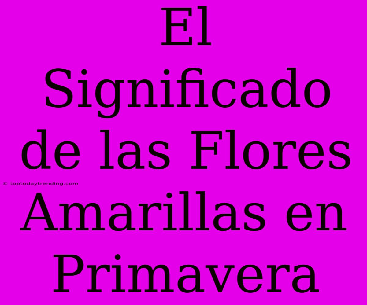 El Significado De Las Flores Amarillas En Primavera