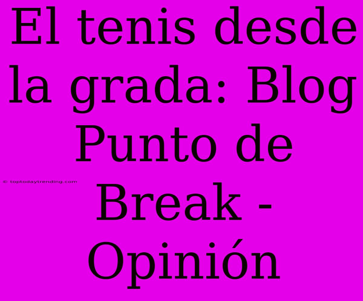 El Tenis Desde La Grada: Blog Punto De Break - Opinión