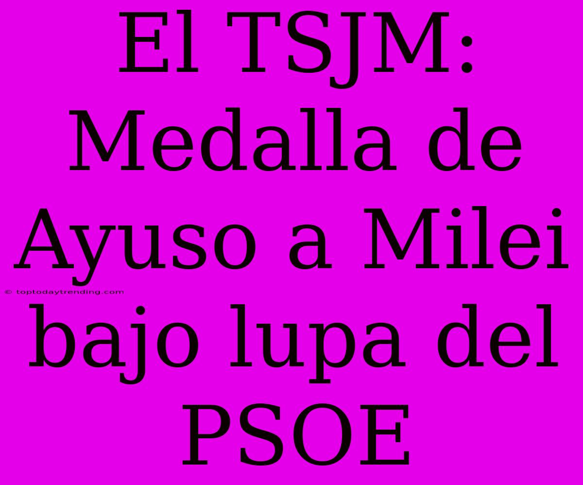 El TSJM: Medalla De Ayuso A Milei Bajo Lupa Del PSOE