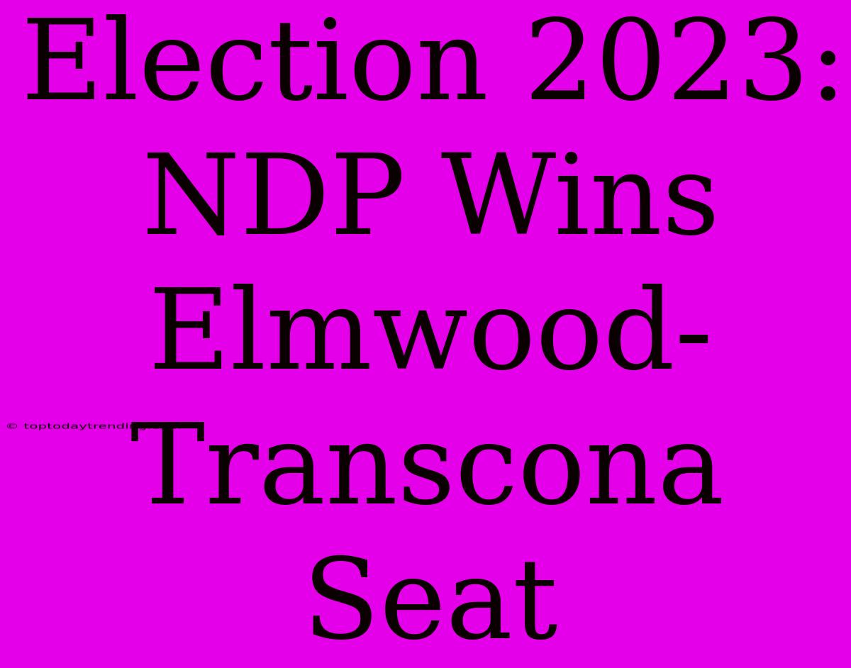 Election 2023: NDP Wins Elmwood-Transcona Seat