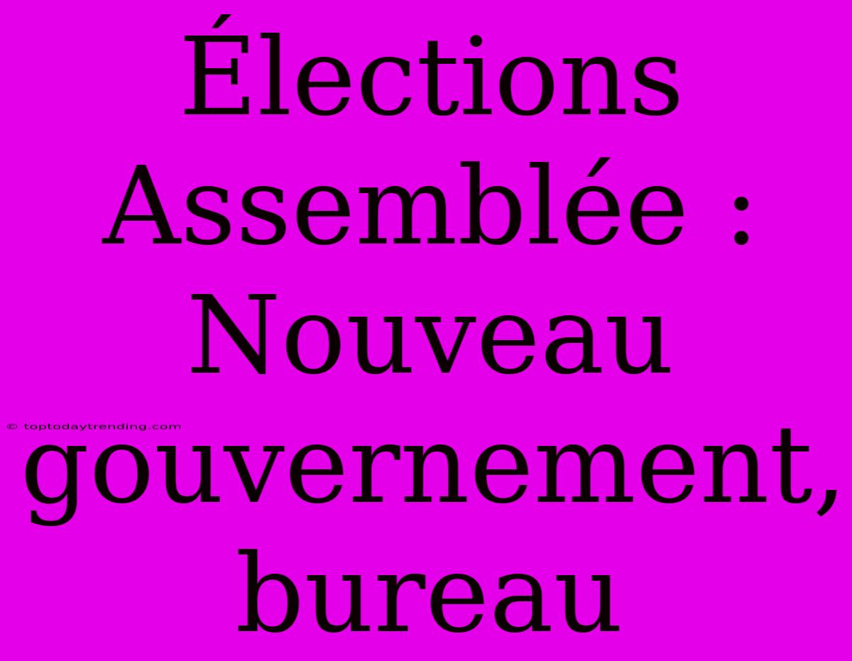 Élections Assemblée : Nouveau Gouvernement, Bureau