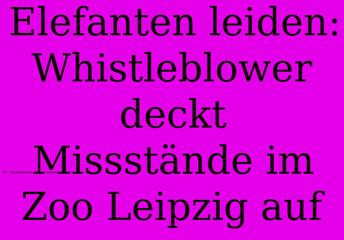 Elefanten Leiden: Whistleblower Deckt Missstände Im Zoo Leipzig Auf