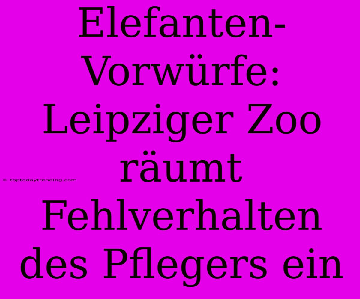 Elefanten-Vorwürfe: Leipziger Zoo Räumt Fehlverhalten Des Pflegers Ein