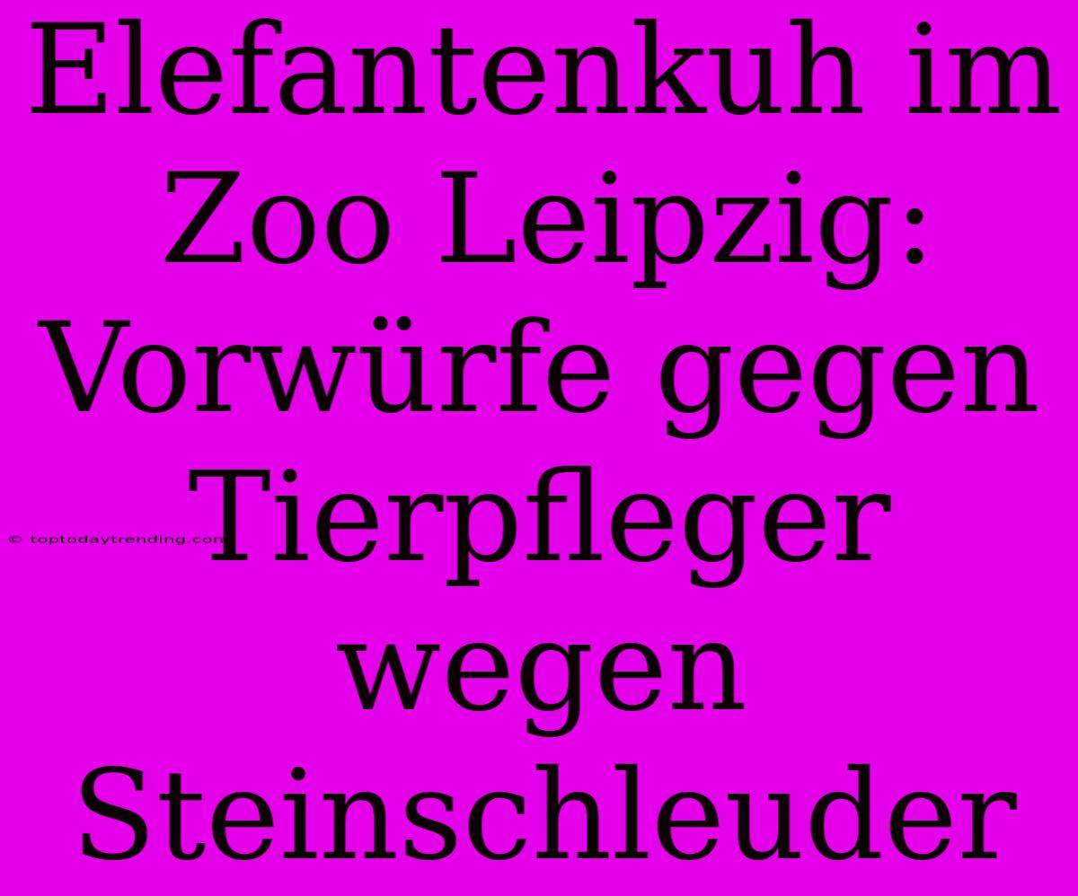 Elefantenkuh Im Zoo Leipzig: Vorwürfe Gegen Tierpfleger Wegen Steinschleuder