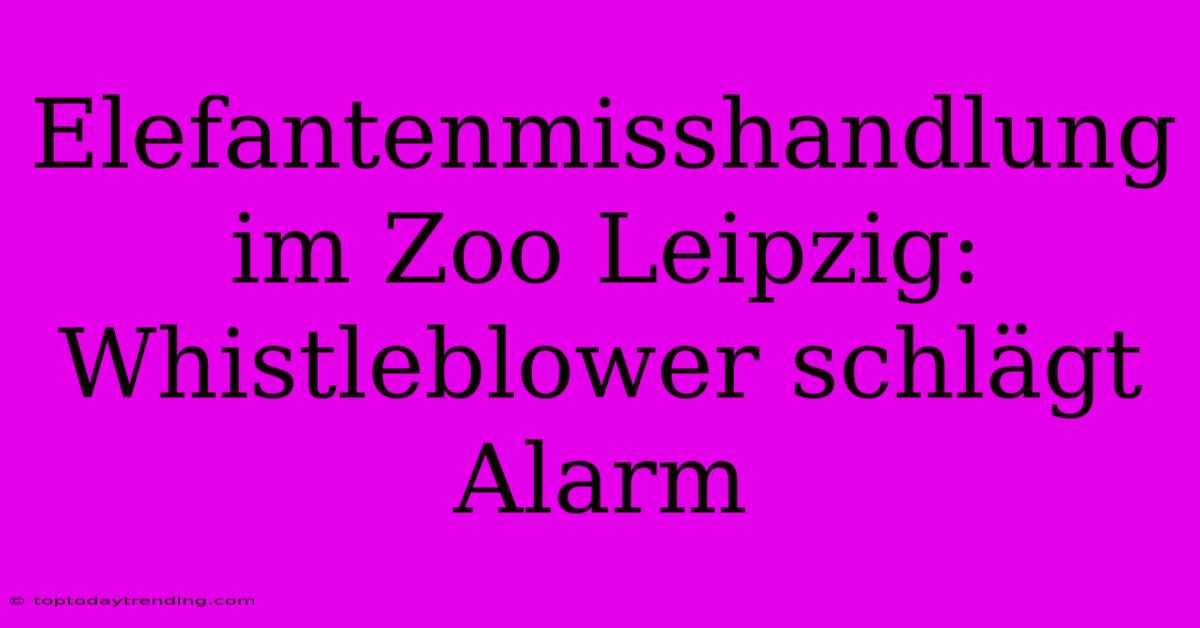 Elefantenmisshandlung Im Zoo Leipzig: Whistleblower Schlägt Alarm