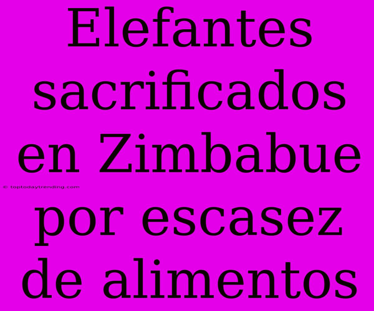 Elefantes Sacrificados En Zimbabue Por Escasez De Alimentos