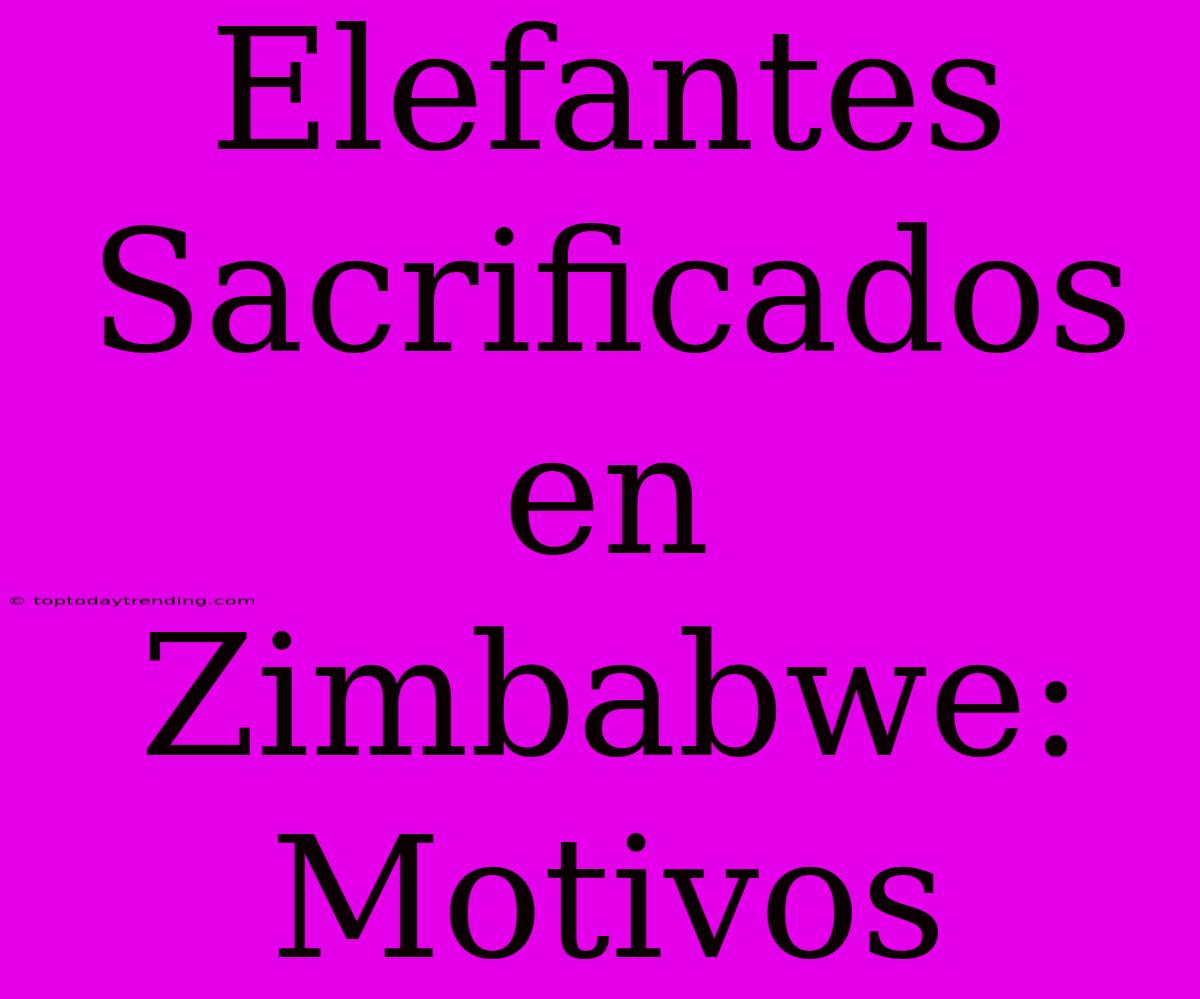 Elefantes Sacrificados En Zimbabwe: Motivos