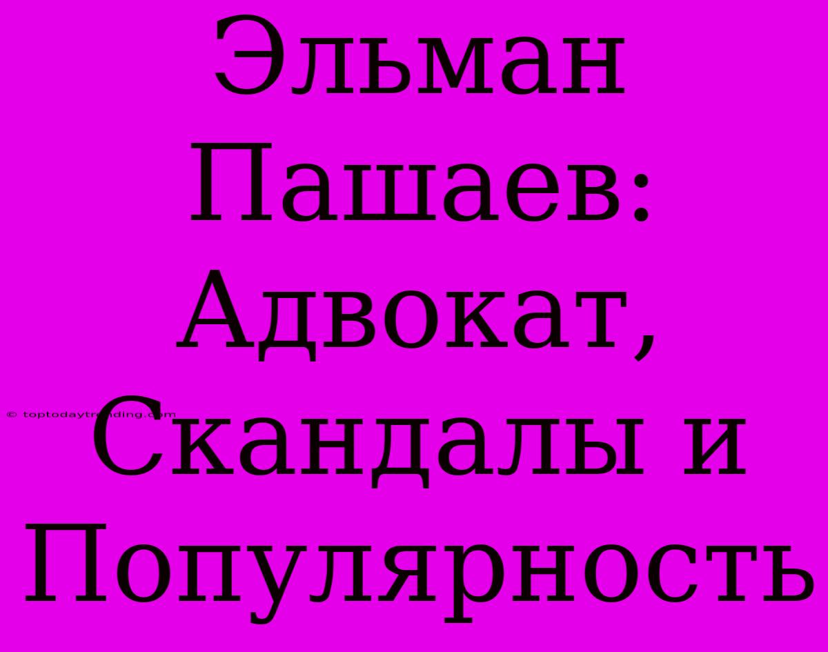 Эльман Пашаев: Адвокат, Скандалы И Популярность