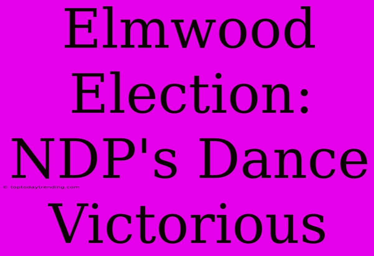 Elmwood Election: NDP's Dance Victorious