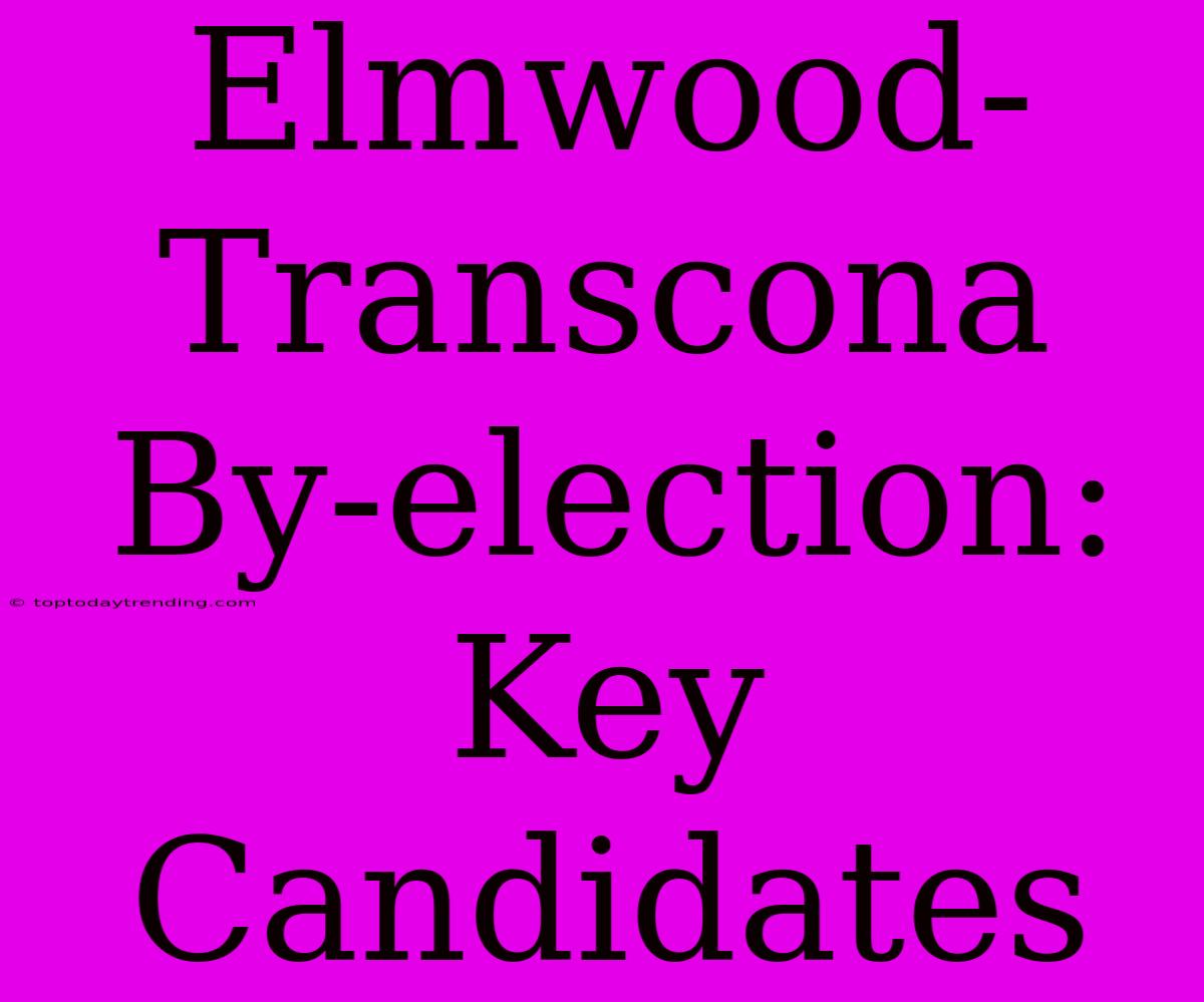 Elmwood-Transcona By-election: Key Candidates