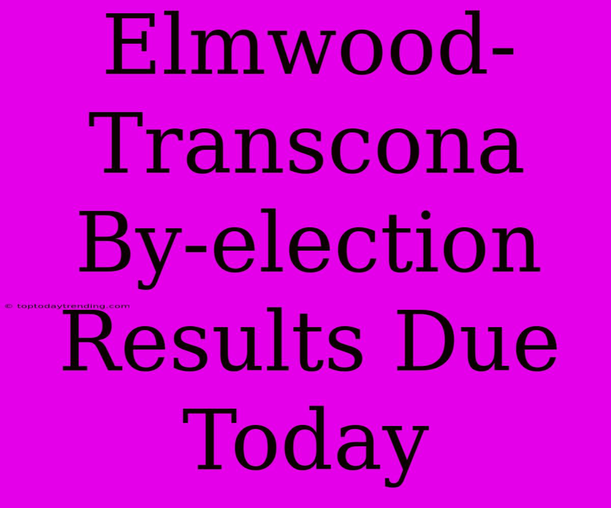 Elmwood-Transcona By-election Results Due Today