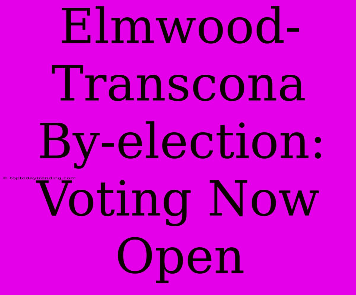 Elmwood-Transcona By-election: Voting Now Open