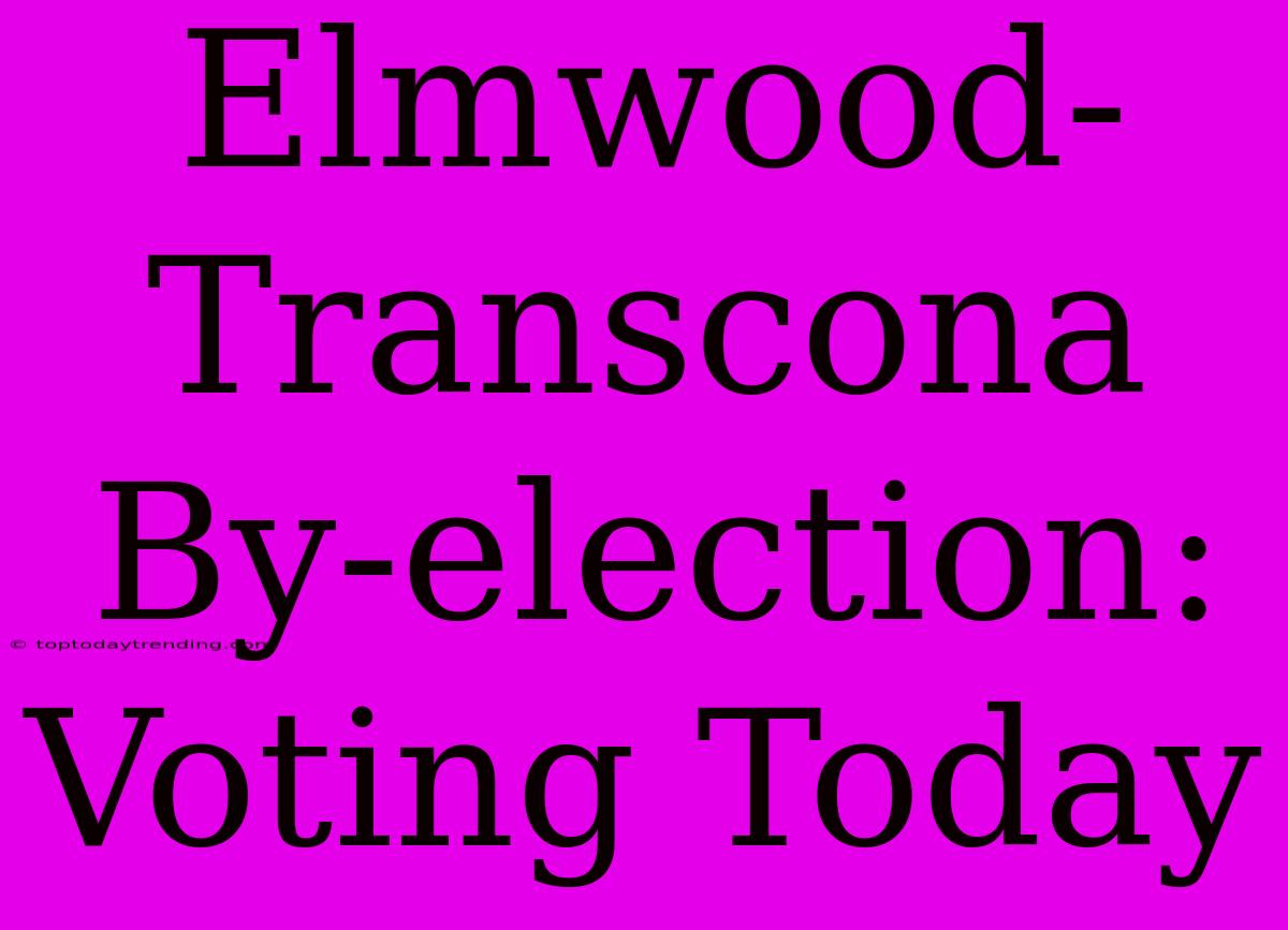 Elmwood-Transcona By-election: Voting Today