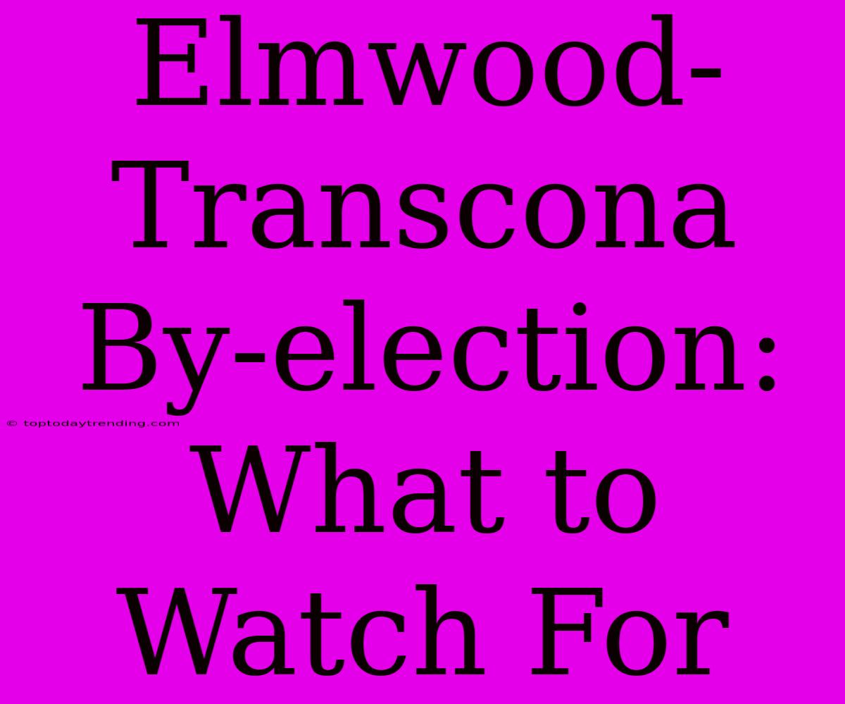 Elmwood-Transcona By-election: What To Watch For