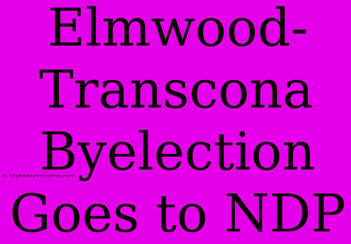 Elmwood-Transcona Byelection Goes To NDP