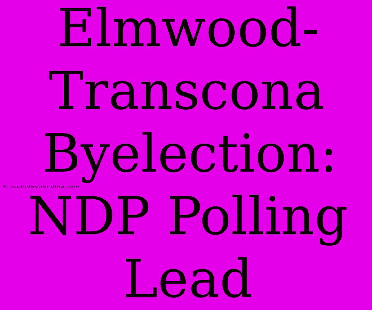 Elmwood-Transcona Byelection: NDP Polling Lead