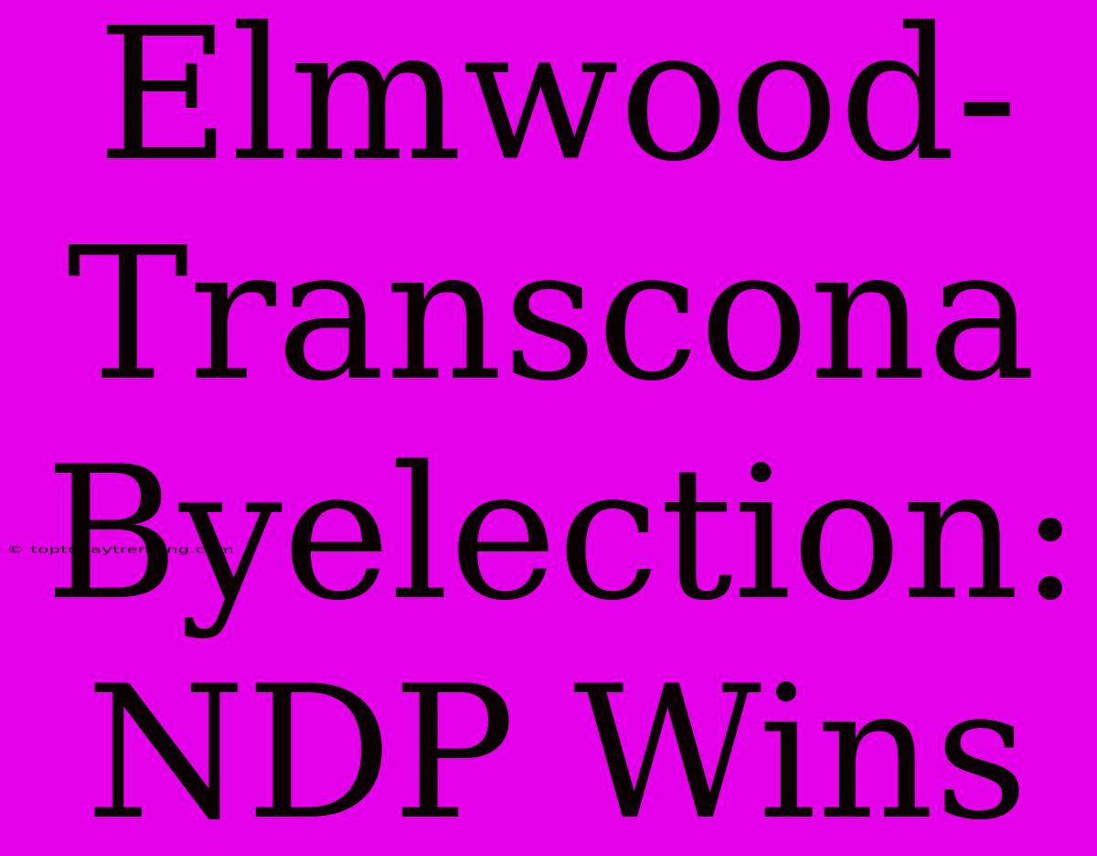 Elmwood-Transcona Byelection: NDP Wins