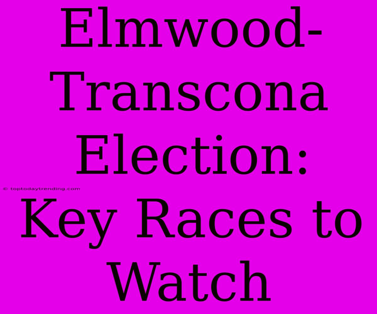 Elmwood-Transcona Election:  Key Races To Watch