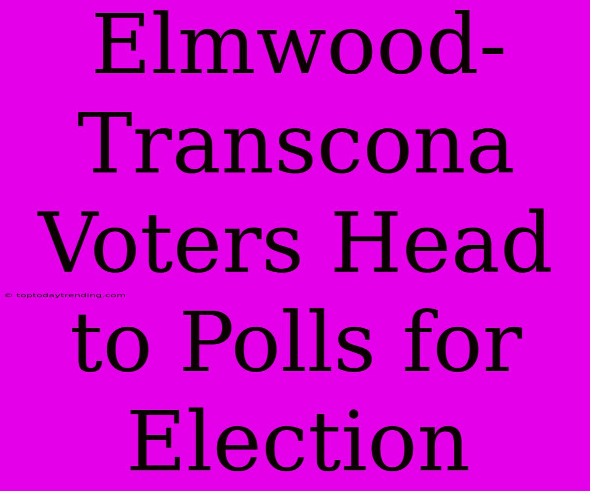 Elmwood-Transcona Voters Head To Polls For Election