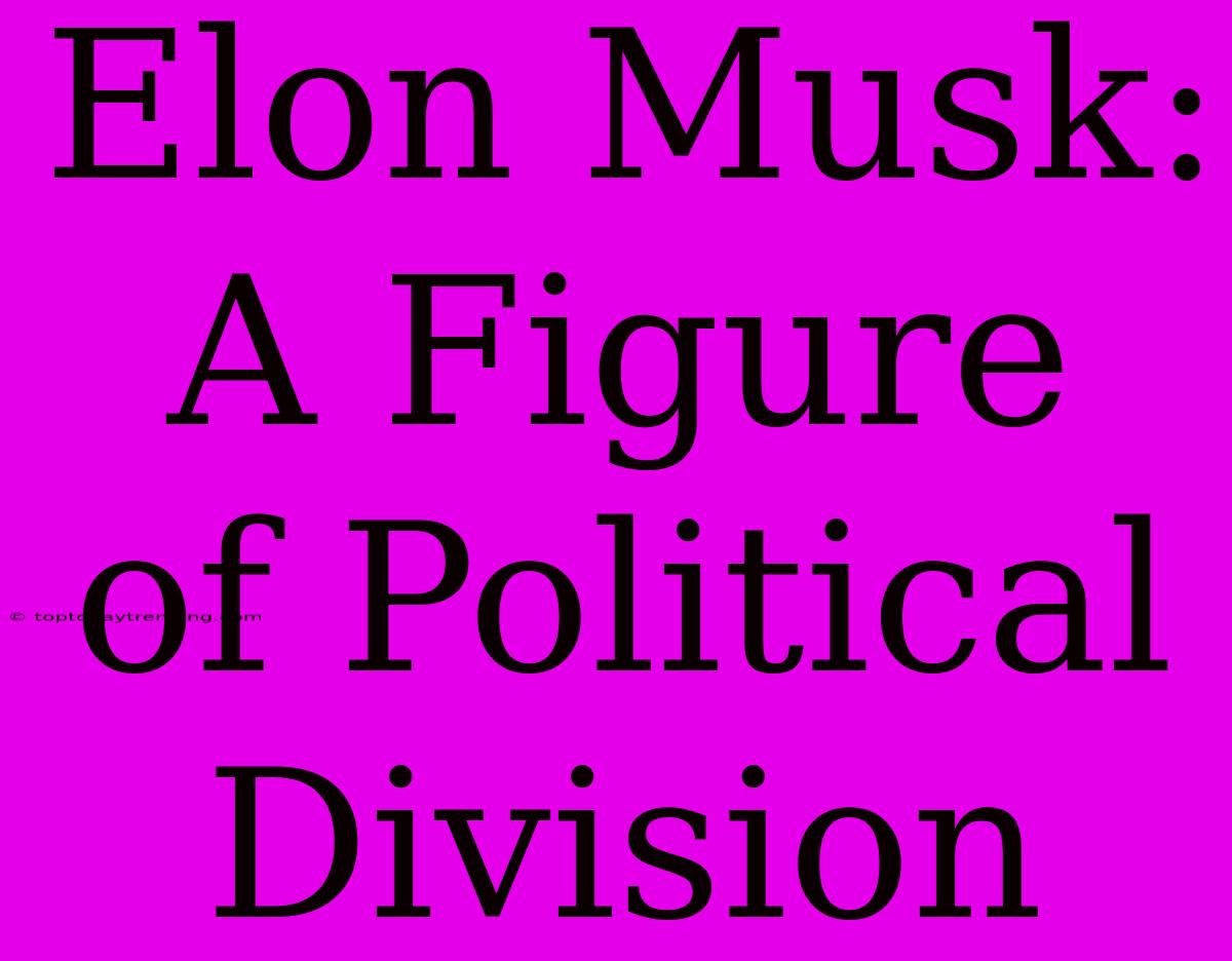 Elon Musk: A Figure Of Political Division