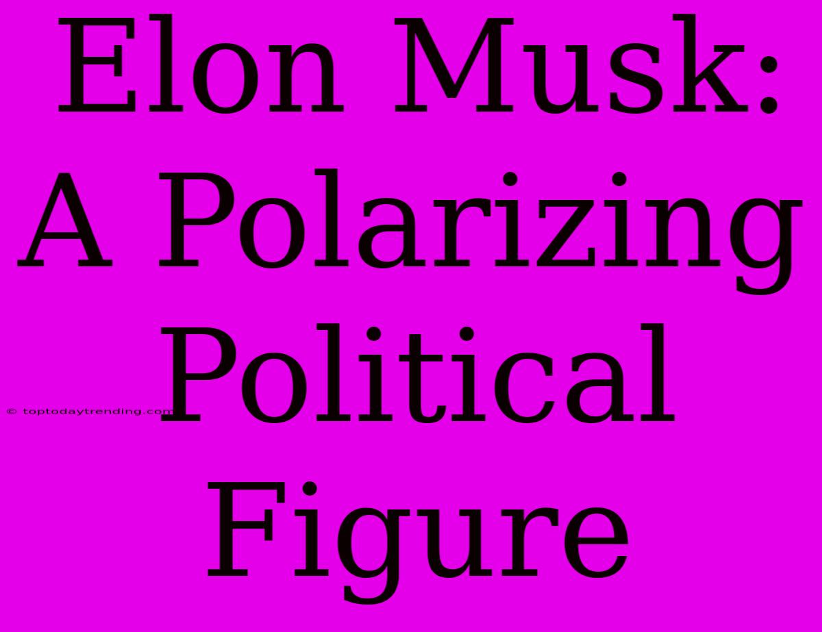 Elon Musk: A Polarizing Political Figure