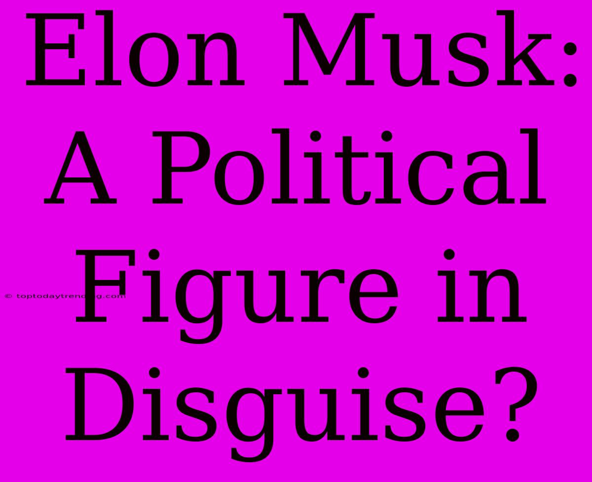 Elon Musk: A Political Figure In Disguise?