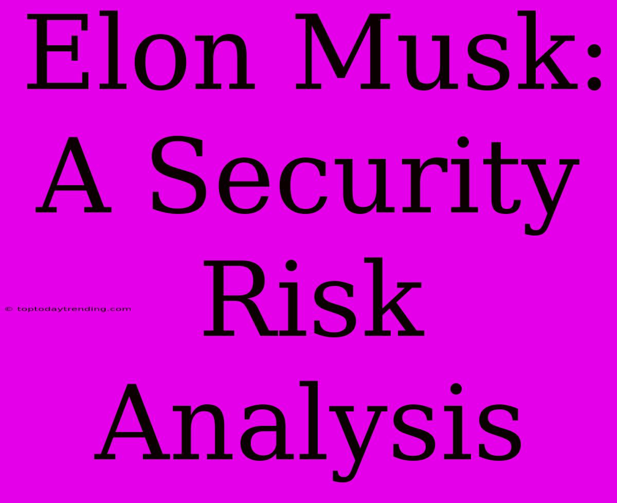 Elon Musk: A Security Risk Analysis