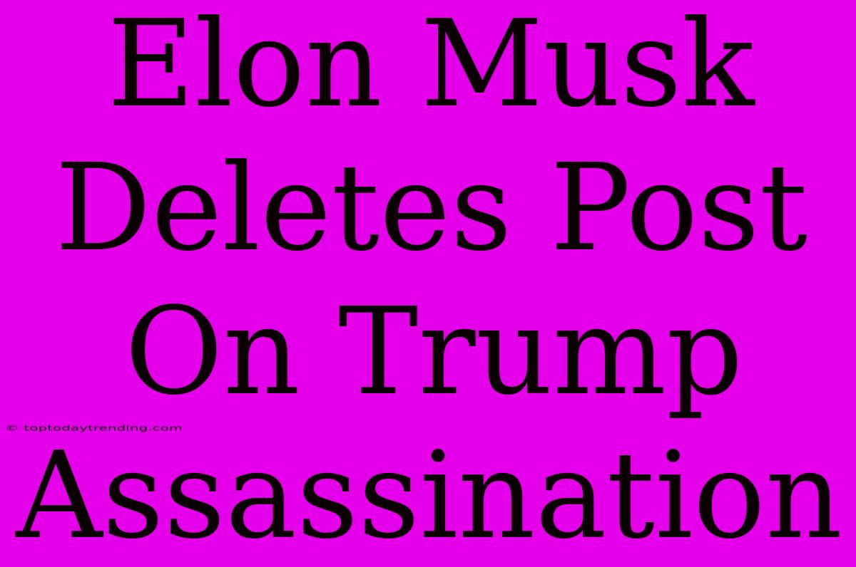 Elon Musk Deletes Post On Trump Assassination