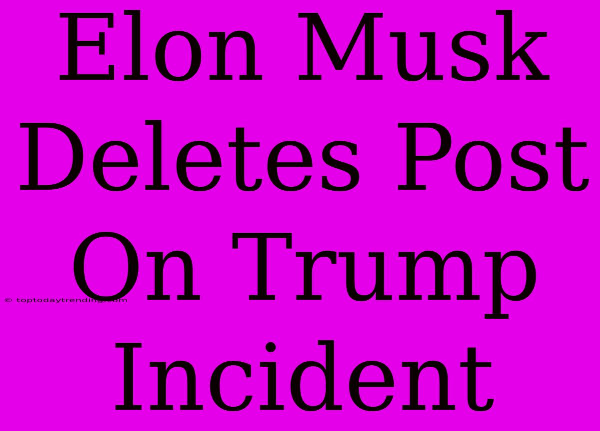 Elon Musk Deletes Post On Trump Incident