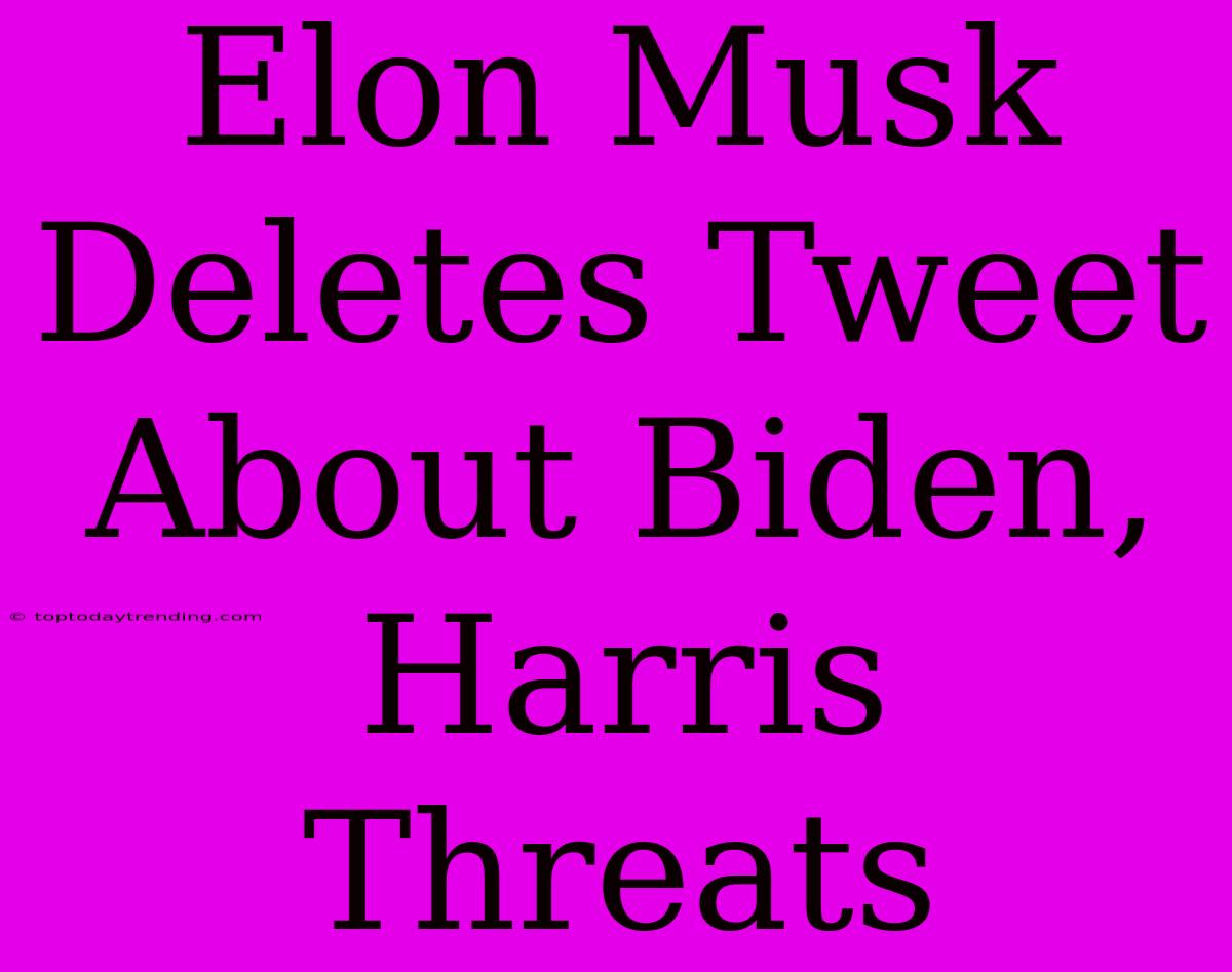 Elon Musk Deletes Tweet About Biden, Harris Threats