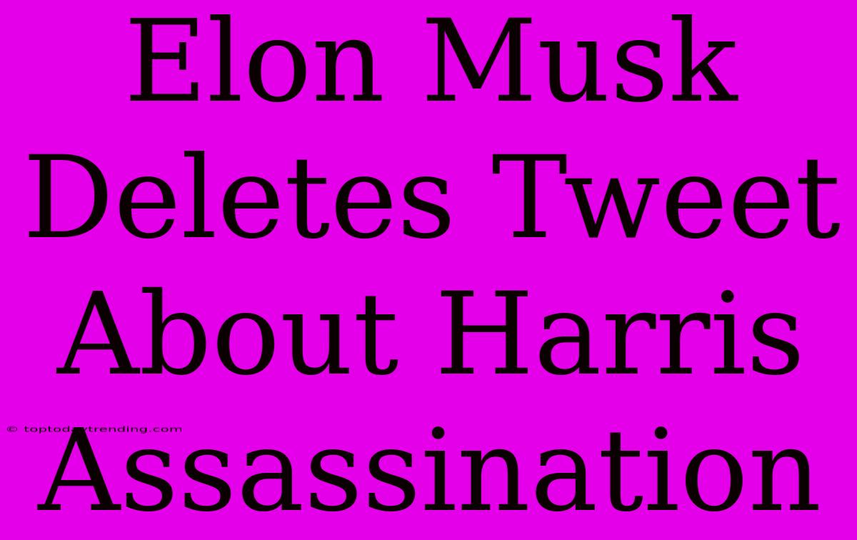 Elon Musk Deletes Tweet About Harris Assassination