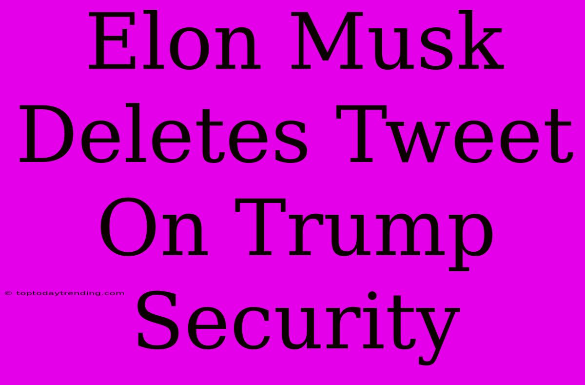 Elon Musk Deletes Tweet On Trump Security