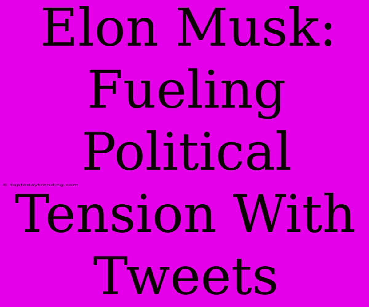 Elon Musk: Fueling Political Tension With Tweets