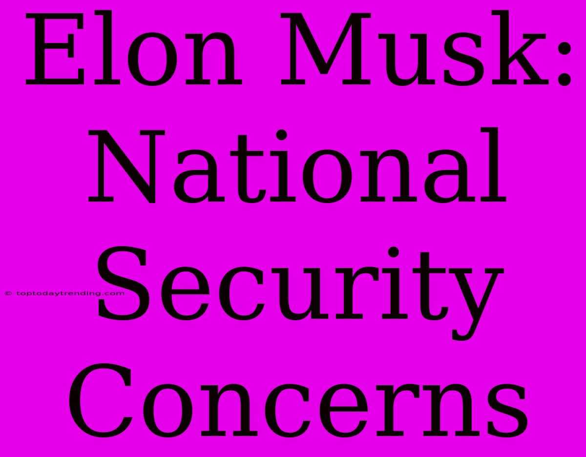 Elon Musk: National Security Concerns