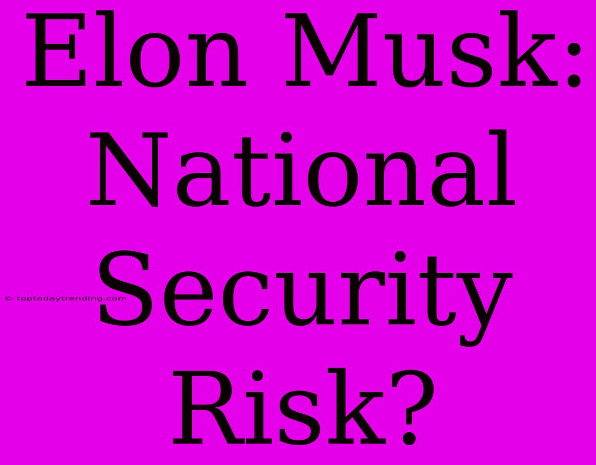 Elon Musk: National Security Risk?