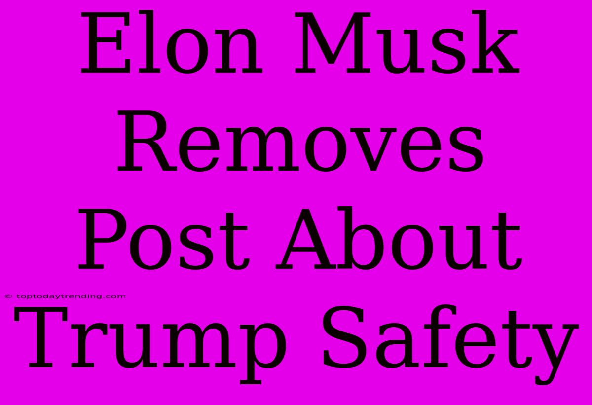 Elon Musk Removes Post About Trump Safety